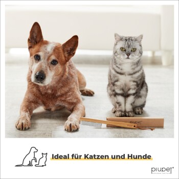 Ein brauner und weißer Hund liegt neben einer grauen getigerten Katze, beide schauen in die Kamera, mit einem Pflegewerkzeug und Text darunter.