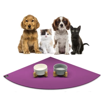 Ein Golden Retriever, ein flauschiges weißes Kätzchen, ein brauner Spaniel und eine schwarze Katze sitzen vor zwei Haustierschalen auf einer lila Matte.