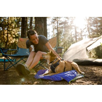 Eine Person sitzt in einem Campingstuhl mit einem Hund, der neben ihnen auf einer blauen Decke ruht, umgeben von Bäumen und Sonnenlicht.