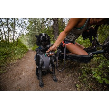 Eine Frau in einem Tanktop und Shorts befestigt eine Leine an einem schwarzen Hund, der ein graues Geschirr trägt, auf einem Schotterweg, umgeben von Bäumen.