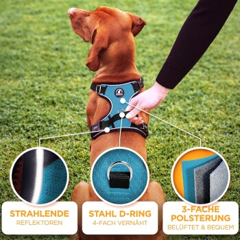 Ein brauner Hund, der ein schwarzes Geschirr trägt, steht auf Gras, mit hervorgehobenen Merkmalen wie reflektierenden Streifen, einem Stahl-D-Ring und dreilagiger Polsterung.