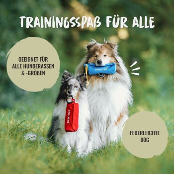 Zwei Hunde mit blauen und roten Spielzeugen in einer grünen Umgebung. Text: "TRAININGSSPAß FÜR ALLE" und "Geeignet für alle Hunderassen."