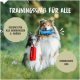 Zwei Hunde mit blauen und roten Spielzeugen in einer grünen Umgebung. Text: "TRAININGSSPAß FÜR ALLE" und "Geeignet für alle Hunderassen."