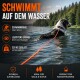 Nasser weiß-brauner Hund steht in flachem Wasser nahe einem umgestürzten Baumstamm mit orangefarbener Leine in natürlicher Umgebung.
