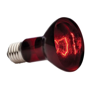Exo Terra Infrarot-Spotlampe Heat GL 50 W