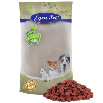 Lyra Hundefutterverpackung mit einem Logo, das Bilder eines Hundes, einer Katze und eines kleinen Hundes zeigt, neben einem Haufen Trockenfutter.