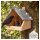 Holz-Vogelhaus mit schrägem Dach, an einem Baum montiert, mit dem eingravierten Logo 'wildlife home' auf der Vorderseite.