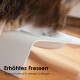 Nahaufnahme einer Katze, die aus einer modernen erhöhten Schüssel frisst, mit dem Text "Erhöhtes Fressen - rückenschonend & weniger Schlingen."