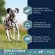Ein gesunder Hund läuft auf einem grasbewachsenen Feld. Das Etikett lautet 'ERWACHSEN' für erwachsene Hunde von 1,5-6 Jahren, über 25 kg, mit aufgelisteten Vorteilen.
