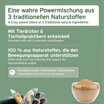 Grüne Anzeige mit Muscheln und einer Schale Pulver; drei traditionelle natürliche Inhaltsstoffe — Muschel, Teufelskralle, Fischkollagen.