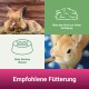 Ein flauschiger Hase sitzt im Heu mit deutschem Text: "Biete das Stroh zur freien Verfügung," "Stets frisches Wasser," und "Empfohlene Fütterung."