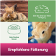 Ein flauschiger Hase sitzt im Heu mit deutschem Text: "Biete das Stroh zur freien Verfügung," "Stets frisches Wasser," und "Empfohlene Fütterung."