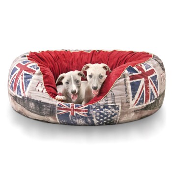 Ein hellfarbener Hund sitzt bequem in einem runden Haustierbett mit einem Design, das britische und amerikanische Flaggen zeigt, umgeben von einem plüschigen roten Innenraum.