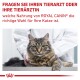 Eine getigerte Katze ruht auf einem Tisch, während ein Tierarzt im weißen Kittel hinter ihr steht. Der Text empfiehlt, einen Tierarzt bezüglich ROYAL CANIN® Katzenfutter zu konsultieren.