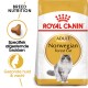 Royal Canin Adult Norwegian Forest Cat droogvoerzak met een grijs-witte kat, die de voeding specifiek voor het ras benadrukt voor een gezonde huid en vacht.