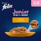 Bild einer gelben Schüssel, gefüllt mit Katzenfutter, das zerrissenes Huhn in Gelee zeigt, beschriftet mit "Felix Junior mit Huhn IN GELEE."