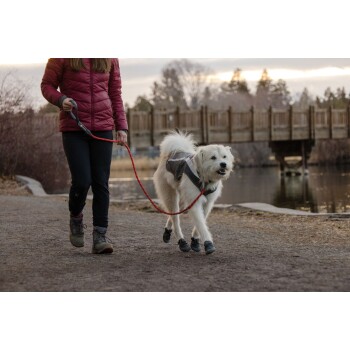 Eine Frau in einer roten Jacke führt einen weißen Hund mit Stiefeln und einem Geschirr entlang eines Weges am See, mit einer Holzbrücke im Hintergrund.