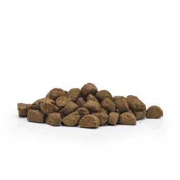 Ein Haufen brauner, dreieckig geformter Haustierfutterkibble auf einer weißen Oberfläche, der seine trockene Textur und Form zeigt.