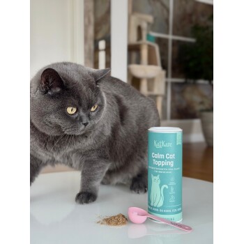 Graue Katze neben einer türkisfarbenen Dose mit der Aufschrift 'KatKare Calm Cat Topping', rosa Schaufel und einem Haufen Pulver auf weißer Oberfläche.