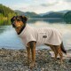Ein brauner Hund, der einen beigen, gemütlichen Hoodie trägt, steht an einem sandigen Strand, umgeben von hohem Gras und einem Holzzaun im Hintergrund.