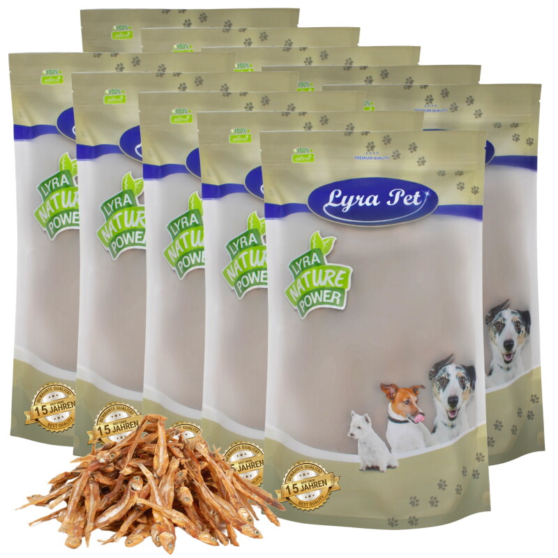 Lyra Pet Kleine Fische 10 kg