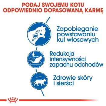 Infografika promująca korzyści z karmy dla kotów: zapobiega powstawaniu kul włosowych, redukuje intensywność zapachu i wspiera zdrowie skóry i sierści.