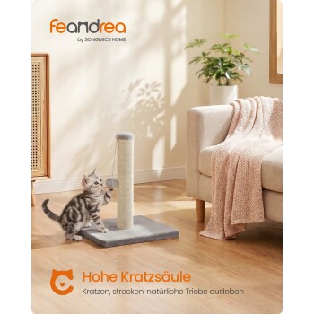 Graugetigertes Kätzchen spielt mit Sisal-Kratzsäule neben Sofa und Pflanze; sichtbarer Text 'feandrea by SONGMICS HOME' und 'Hohe Kratzsäule.'