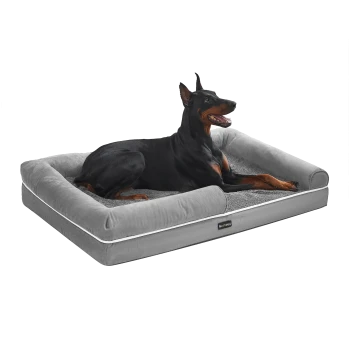 Dobermann ruht auf grauem Hundebett mit erhöhtem Rand, Innenfläche aus flauschigem Shag-Plüsch und sichtbarem Feandrea-Etikett.