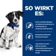 Ein schwarz-weißer Hund sitzt vor einem blauen Hintergrund mit Text über ein verdauliches Haustierrezept für emotionales Gleichgewicht und Gesundheit.