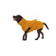 Hundebademantel "Amber" 65 cm
