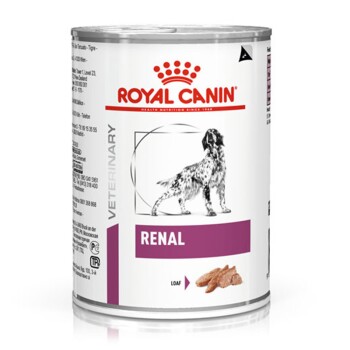 Veterinary Diet Renal 12x410g