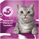 Grau-getigerte Katze leckt sich die Nase auf violettem Hintergrund mit Magen-Symbol und Text „Reduziert die Bildung von Haarballen“.