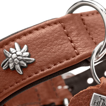 Nahaufnahme eines braunen Lederhundehalsbands mit silberner Blumen-Niete, Metall-D-Ringen und Anhänger mit teilweise sichtbarem Text 'HU'.