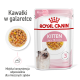 Torebka karmy dla kociąt Royal Canin, 85g x 12, z miękkimi kawałkami w galaretce, odpowiednia dla kociąt do 12 miesiąca życia, z wizerunkiem kota.