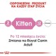 Kitten 2x10 kg
