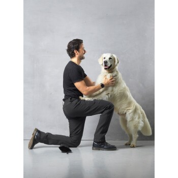 Eine Person in einem schwarzen T-Shirt und dunklen Hosen kniet und interagiert spielerisch mit einem glücklichen Golden Retriever vor einem grauen Hintergrund.