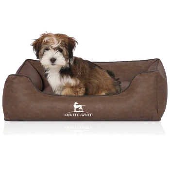 Flauschiger braun-weißer Welpe sitzt in einem braunen rechteckigen Hundebett mit 'KNUFFELWUFF'-Logo und Hundesilhouette auf der Vorderseite