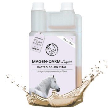 Magen-Darm Liquid 1 l