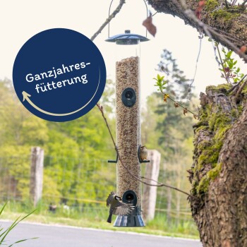 Ein Vogelhaus, gefüllt mit Samen, hängt von einem Baumast, mit zwei kleinen Vögeln, die darauf sitzen. Der Textüberlagerung lautet 'Ganzjahresfütterung.'