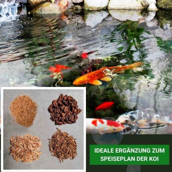 Koi-Teich mit bunten Fischen; Einblendung zeigt Fischfuttertypen: getrocknete Würmer, Pellets und Flocken. Text: "IDEALE ERGÄNZUNG ZUM SPEISEPLAN DER KOI."