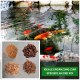 Koi-Teich mit bunten Fischen; Einblendung zeigt Fischfuttertypen: getrocknete Würmer, Pellets und Flocken. Text: "IDEALE ERGÄNZUNG ZUM SPEISEPLAN DER KOI."