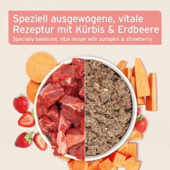 Eine Schüssel mit Haustierfutter, garniert mit Erdbeeren, umgeben von Süßkartoffel, Kürbis, Birne, Erdbeeren und Fenchel, mit dem Aniforte-Logo.