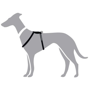 Eine graue Silhouette eines Hundes, der ein schwarzes Geschirr mit einer Schlaufe und dekorativen Knöpfen trägt, vor einem weißen Hintergrund.