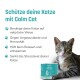Graue Katze wird mit einem Leckerli gefüttert, Text über Calm Cat Vorteile: bekämpft Angst, reduziert Stress, fördert gesunden Schlaf.