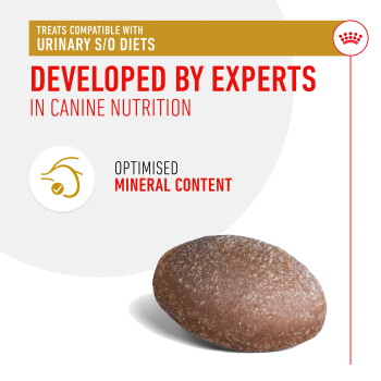 Dog treat designed for urinary S/O diets, featuring text: "Developed by experts in canine nutrition" and "Optimised mineral content."
