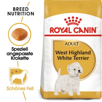 West Highland White Terrier Adult 1.500 g
