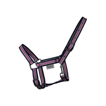 Ein farbenfrohes Haustiergeschirr mit marineblauen, rosa und weißen Streifen, mit Metallverschlüssen und einem EQuest-Label.