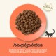 Katzenfutterkibble auf einem orangefarbenen Teller präsentiert, mit Text, der die Hauptzutaten auflistet: Huhn, Kartoffeln, Lachs, Vitamine und Mineralien.