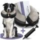 Ein glücklicher schwarz-weißer Border Collie in einem weichen Halskragen, neben einer Box mit der Aufschrift "2 in 1 Halskrause" und einer schwarzen Pumpe.