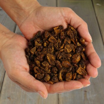 Hände, die eine Handvoll getrockneter Insektenlarven-/Puppen-Haustierleckerlis über einer Holzoberfläche halten.